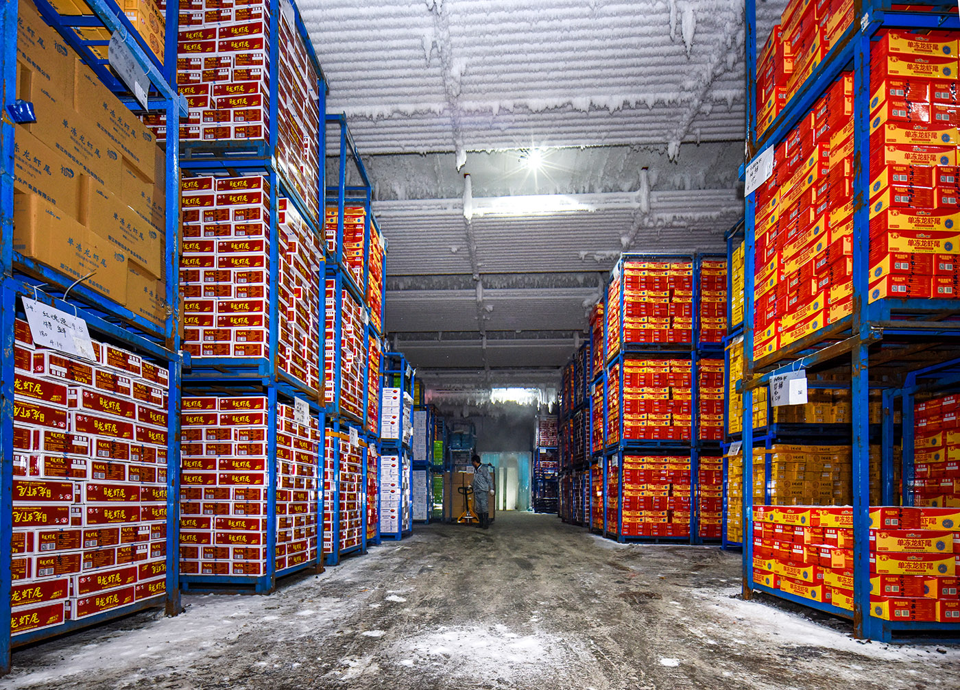 Standardized 10,000-ton cold storage